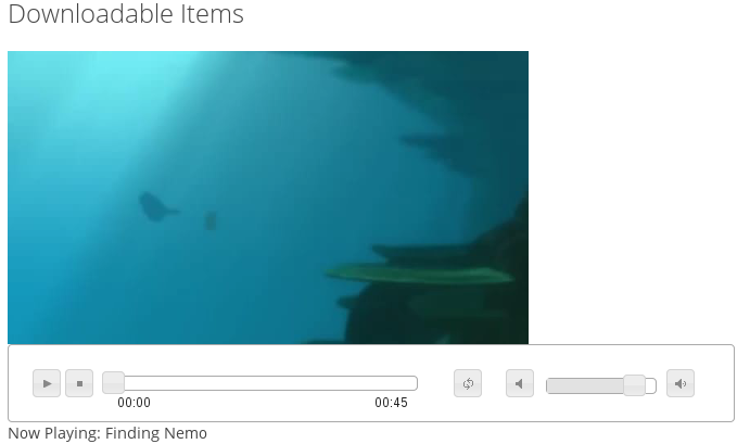 plugin-vid-example-html5